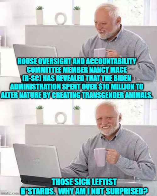 The term 'standards' does NOT MEAN what leftists seem to think it means. | HOUSE OVERSIGHT AND ACCOUNTABILITY COMMITTEE MEMBER NANCY MACE (R-SC) HAS REVEALED THAT THE BIDEN ADMINISTRATION SPENT OVER $10 MILLION TO ALTER NATURE BY CREATING TRANSGENDER ANIMALS. THOSE SICK LEFTIST B*STARDS.  WHY AM I NOT SURPRISED? | image tagged in hide the pain harold | made w/ Imgflip meme maker