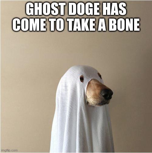 ghost-doge | GHOST DOGE HAS COME TO TAKE A BONE | image tagged in ghost doge | made w/ Imgflip meme maker