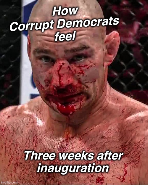 The beatings shall continue until morale improves… | How
Corrupt Democrats 
feel; Three weeks after 
inauguration | image tagged in bloody face | made w/ Imgflip meme maker