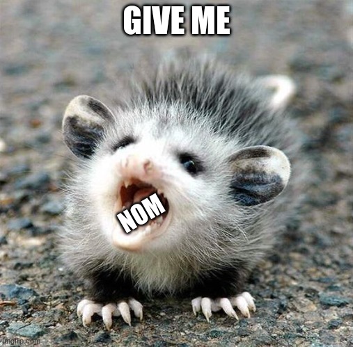 Aaaaahhhhh Baby Opossum | GIVE ME NOM | image tagged in aaaaahhhhh baby opossum | made w/ Imgflip meme maker