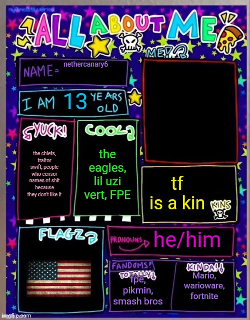 All about me! (Og temp by Jade) | nethercanary6; 13; the eagles, lil uzi vert, FPE; the chiefs, traitor swift, people who censor names of shit because they don't like it; tf is a kin; he/him; fpe, pikmin, smash bros; Mario, warioware, fortnite | image tagged in all about me og temp by jade | made w/ Imgflip meme maker