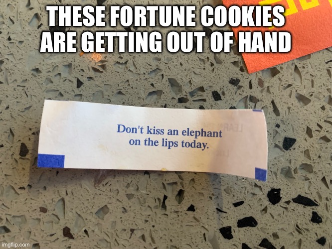 Bruh what even is this | THESE FORTUNE COOKIES ARE GETTING OUT OF HAND | image tagged in fortune cookie,elephant,kiss | made w/ Imgflip meme maker