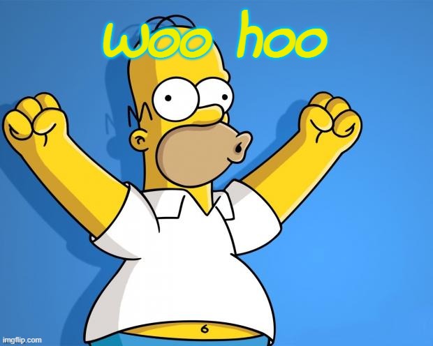 Woohoo Homer Simpson | Woo hoo | image tagged in woohoo homer simpson | made w/ Imgflip meme maker