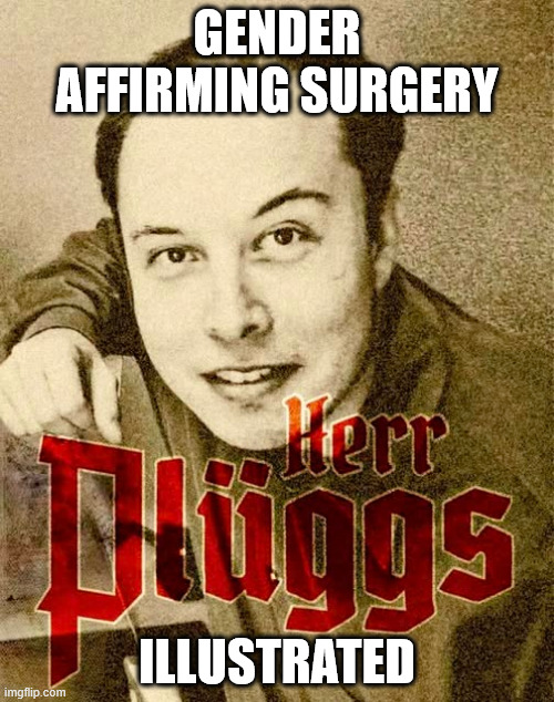 Gender Affirming Surgery Illustrated | GENDER AFFIRMING SURGERY; ILLUSTRATED | image tagged in elon musk,hair plugs,double standard | made w/ Imgflip meme maker