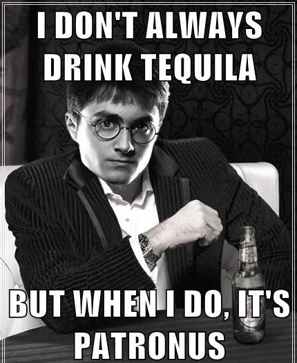 image tagged in memes,funny,the most interesting man in the world,harry potter