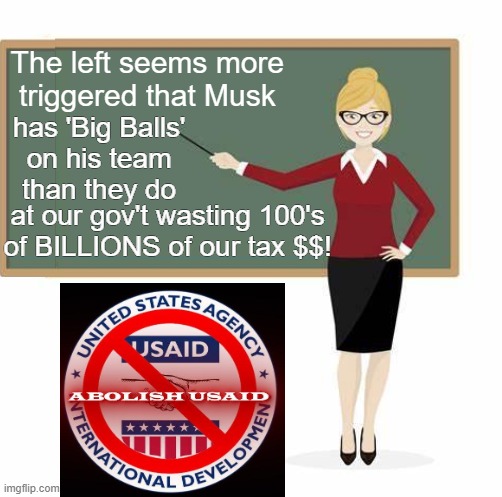 When I die, please don't let me come back as a Democrat! | The left seems more 
triggered that Musk; has 'Big Balls' 
on his team 
than they do; at our gov't wasting 100's 
of BILLIONS of our tax $$! | image tagged in teacher at blackboard,usaid,elon musk,big balls,triggered,common sense | made w/ Imgflip meme maker