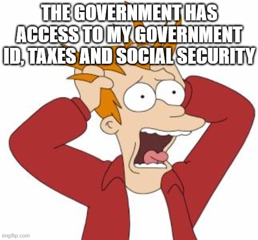 Fry Freaking Out | THE GOVERNMENT HAS ACCESS TO MY GOVERNMENT ID, TAXES AND SOCIAL SECURITY | image tagged in fry freaking out | made w/ Imgflip meme maker