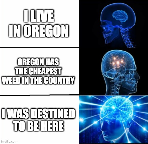 Galaxy Brain (3 brains) | I LIVE IN OREGON; OREGON HAS THE CHEAPEST WEED IN THE COUNTRY; I WAS DESTINED TO BE HERE | image tagged in galaxy brain 3 brains | made w/ Imgflip meme maker