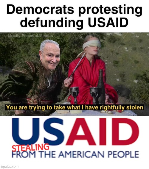 Cuck Scummer mad about his scam scheme | image tagged in usaid stealing logo,chuck schumer,scam | made w/ Imgflip meme maker