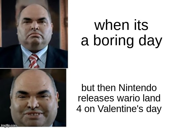 I know what my friend is doing | when its a boring day; but then Nintendo releases wario land 4 on Valentine's day | image tagged in nintendo,nintendo switch | made w/ Imgflip meme maker