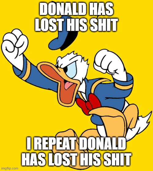 donald duck angry over captain america 4 bombing at the box office | DONALD HAS LOST HIS SHIT; I REPEAT DONALD HAS LOST HIS SHIT | image tagged in donald duck tantrum,prediction,disney,marvel | made w/ Imgflip meme maker