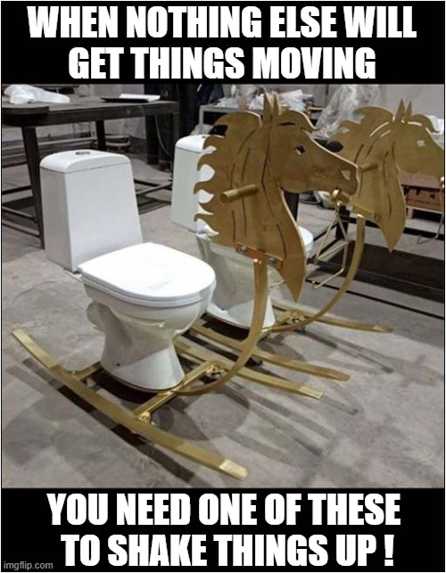 Can't Go ?  Then Rock That Sh*t Out Of You ! | WHEN NOTHING ELSE WILL
GET THINGS MOVING; YOU NEED ONE OF THESE 
TO SHAKE THINGS UP ! | image tagged in toilet,rocking horse,constipation,solution,dark humour | made w/ Imgflip meme maker