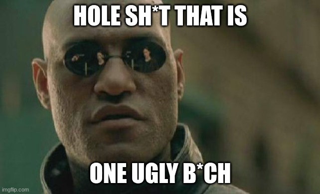 Matrix Morpheus | HOLE SH*T THAT IS; ONE UGLY B*CH | image tagged in memes,matrix morpheus | made w/ Imgflip meme maker