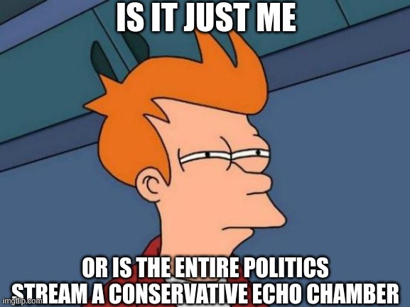 Sus | IS IT JUST ME; OR IS THE ENTIRE POLITICS STREAM A CONSERVATIVE ECHO CHAMBER | image tagged in memes,futurama fry,conservatives,echo chamber | made w/ Imgflip meme maker