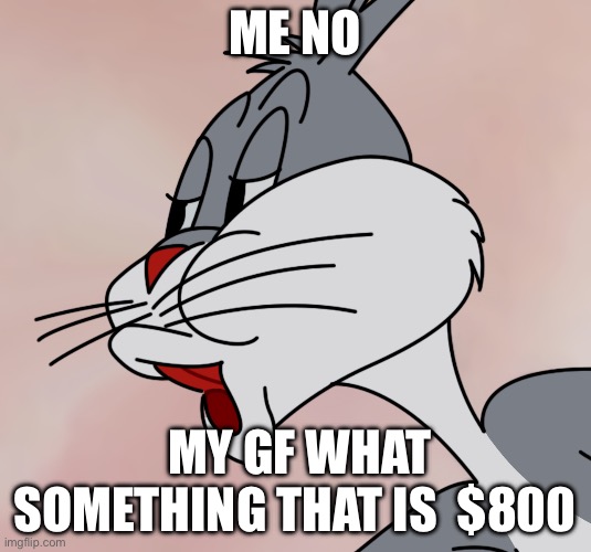 Bugs Bunny no | ME NO; MY GF WHAT SOMETHING THAT IS  $800 | image tagged in bugs bunny no | made w/ Imgflip meme maker