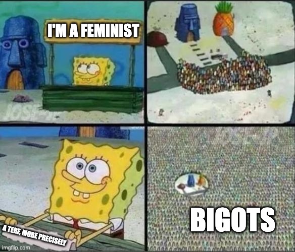 Anyone noticed how the MAGA's views on TERFs seem to have done a 180° after these feminists revealed that they're transphobic? | I'M A FEMINIST; BIGOTS; A TERF, MORE PRECISELY | image tagged in spongebob hype stand,bigotry,transgender,feminism,terf,liberal | made w/ Imgflip meme maker