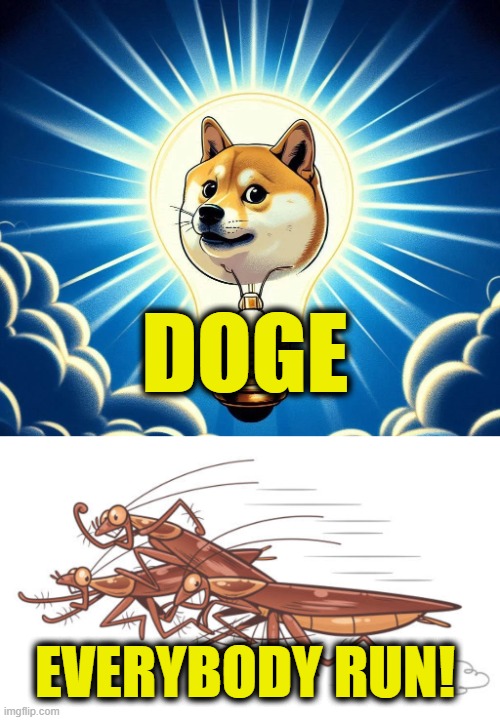 Who the hell turned on the lights? | DOGE; EVERYBODY RUN! | image tagged in government corruption | made w/ Imgflip meme maker