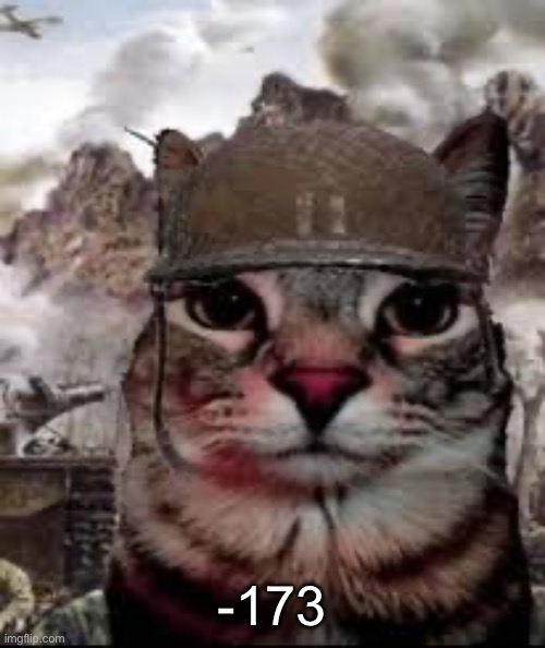 1000 yard stare cat | -173 | image tagged in 1000 yard stare cat | made w/ Imgflip meme maker