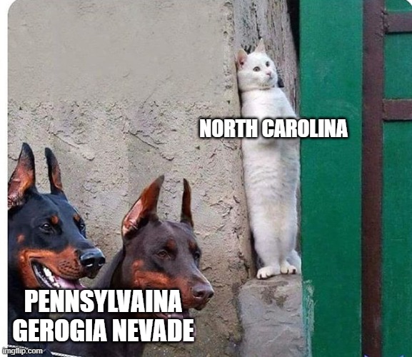 Hidden cat | NORTH CAROLINA; PENNSYLVAINA GEROGIA NEVADE | image tagged in hidden cat | made w/ Imgflip meme maker