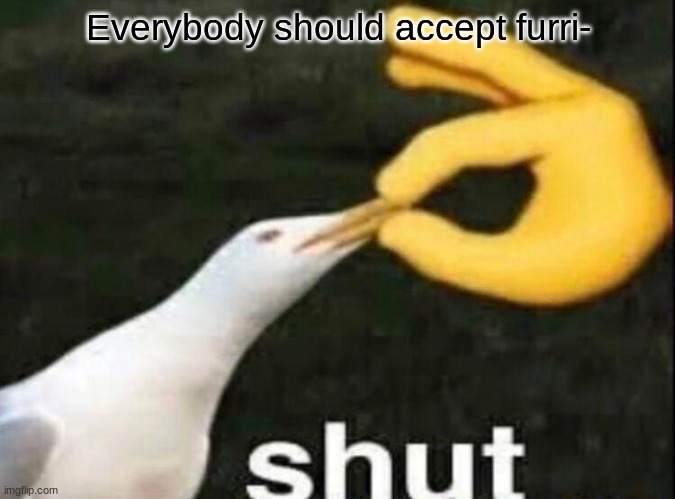 relatable | Everybody should accept furri- | image tagged in shut,memes,furry,funny,seagull | made w/ Imgflip meme maker