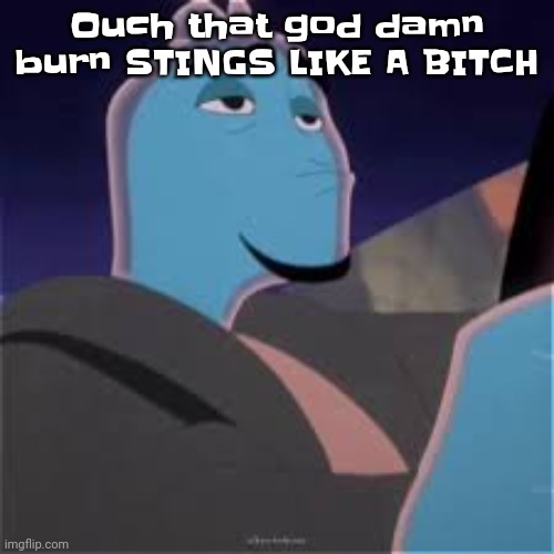 Meh. | Ouch that god da‍mn burn STINGS LIKE A BITCH | image tagged in meh | made w/ Imgflip meme maker