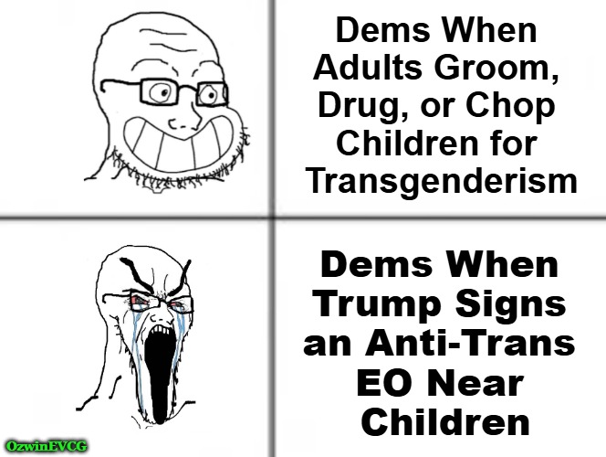 REEEEEgarding Democrats and Children | Dems When 

Adults Groom, 

Drug, or Chop 

Children for 

Transgenderism; Dems When 

Trump Signs 

an Anti-Trans 

EO Near 

Children; OzwinEVCG | image tagged in happy crying soyjak,liberal logic,trump derangement syndrome,liberal hypocrisy,clown world,lgbtq | made w/ Imgflip meme maker