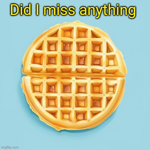 Waffle | Did I miss anything | image tagged in waffle | made w/ Imgflip meme maker