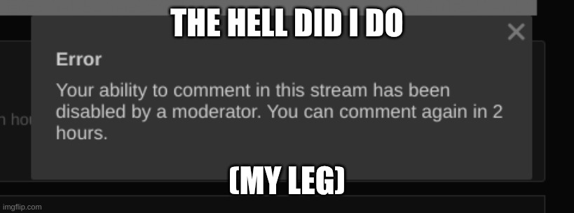 who banned me and what for | THE HELL DID I DO; (MY LEG) | image tagged in my leg | made w/ Imgflip meme maker