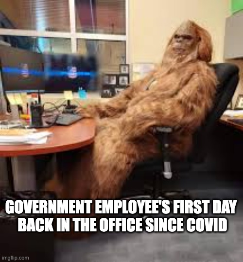 First day back | GOVERNMENT EMPLOYEE'S FIRST DAY 
BACK IN THE OFFICE SINCE COVID | image tagged in first day back | made w/ Imgflip meme maker