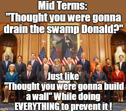 Stop Trump AT ANY COST | Mid Terms: 
"Thought you were gonna drain the swamp Donald?" Just like
 "Thought you were gonna build a wall" While doing EVERYTHING to prev | image tagged in dem resistance meme | made w/ Imgflip meme maker