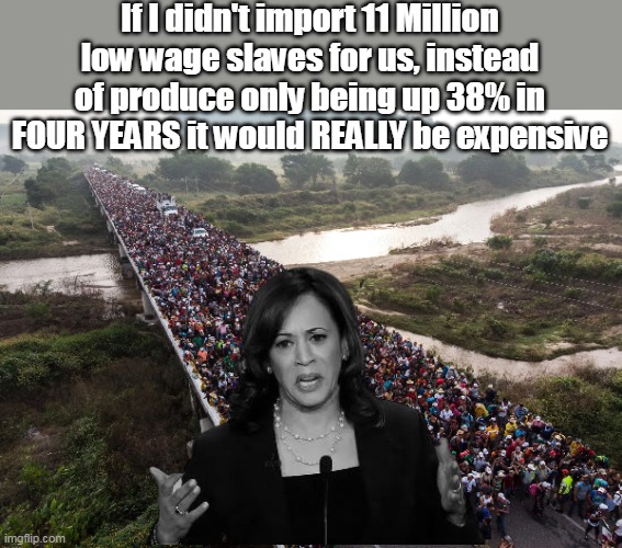 Give credit where credit is due | If I didn't import 11 Million low wage slaves for us, instead of produce only being up 38% in FOUR YEARS it would REALLY be expensive | image tagged in kamala illegals picking produce bs meme | made w/ Imgflip meme maker