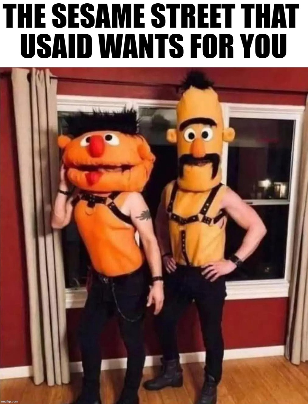 Brought to you by B,D,S and M | THE SESAME STREET THAT 
USAID WANTS FOR YOU | image tagged in politics | made w/ Imgflip meme maker