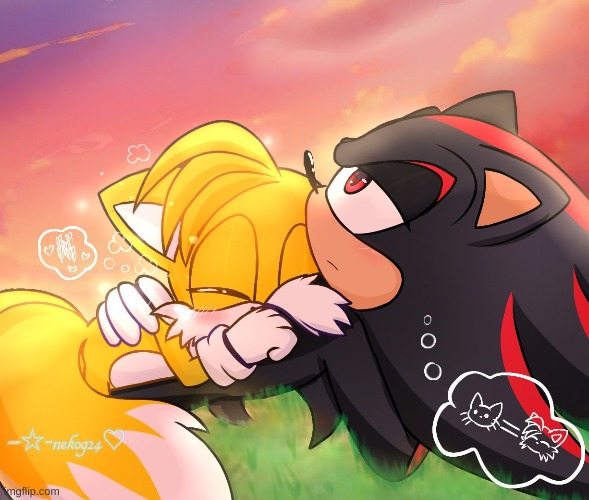 nat doesnt like sonadow so heres shadails | made w/ Imgflip meme maker