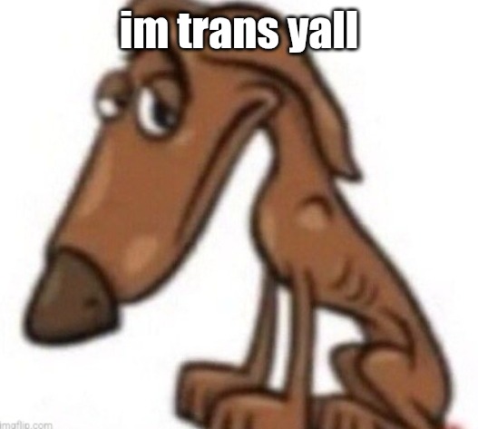 will coming out to msmg be a bad idea? let's find out and see | im trans yall | image tagged in sad dog | made w/ Imgflip meme maker