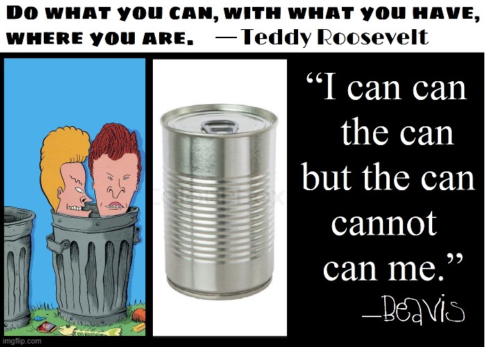 The Pragmatic Theory | image tagged in vince vance,beavis and butthead,garbage can,cartoon,teddy roosevelt,cans | made w/ Imgflip meme maker