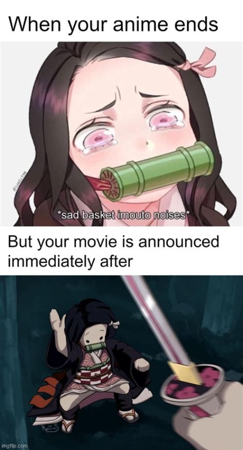 I heard something about the next season being a movie instead or something like that. | image tagged in anime meme,kimetsu no yaiba,demon slayer,nezuko | made w/ Imgflip meme maker