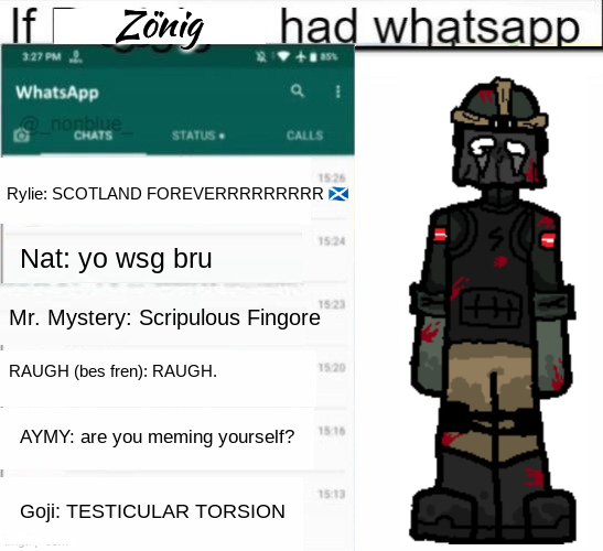 If Zonig had WhatsApp Blank Meme Template
