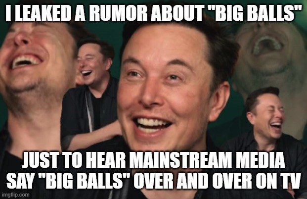 Elon Musk Laughing | I LEAKED A RUMOR ABOUT "BIG BALLS"; JUST TO HEAR MAINSTREAM MEDIA SAY "BIG BALLS" OVER AND OVER ON TV | image tagged in elon musk laughing | made w/ Imgflip meme maker