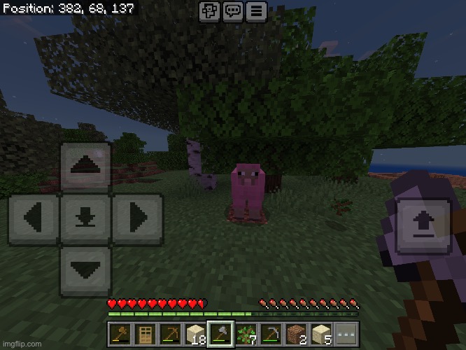 I found this in my world, may the pink sheep lighten up your day. | image tagged in pink sheep,rare,minecraft,no cap | made w/ Imgflip meme maker