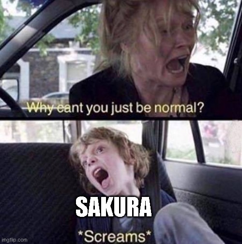 Sakura is such a dumbass. | SAKURA | image tagged in why can't you just be normal,naruto,anime | made w/ Imgflip meme maker