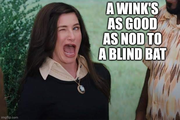 WandaVision Agnes wink | A WINK'S AS GOOD AS NOD TO A BLIND BAT | image tagged in wandavision agnes wink | made w/ Imgflip meme maker