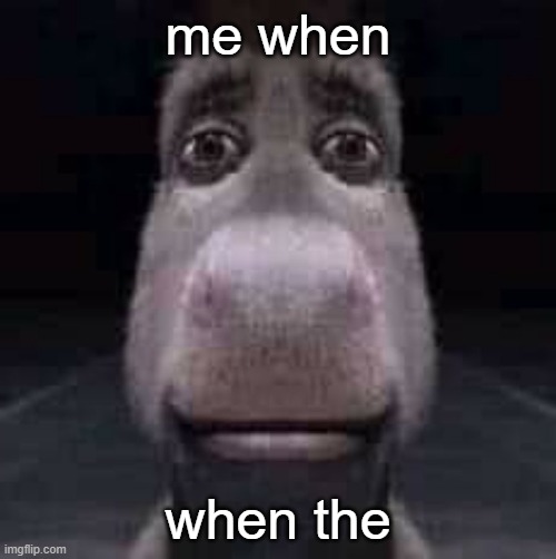 Donkey staring | me when; when the | image tagged in donkey staring | made w/ Imgflip meme maker