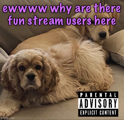 Gnocchi and Henry’s first studio album | ewwww why are there fun stream users here | image tagged in gnocchi and henry s first studio album,cinnabox announcement | made w/ Imgflip meme maker