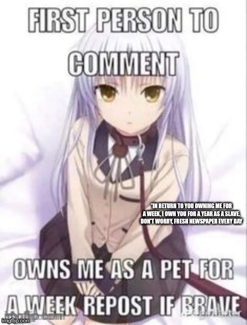 first person to comment owns as a pet for a week | *IN RETURN TO YOU OWNING ME FOR A WEEK, I OWN YOU FOR A YEAR AS A SLAVE. DON'T WORRY, FRESH NEWSPAPER EVERY DAY | image tagged in first person to comment owns as a pet for a week | made w/ Imgflip meme maker