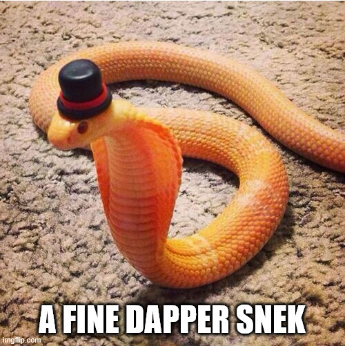 Dapper Snek | A FINE DAPPER SNEK | image tagged in dapper snek | made w/ Imgflip meme maker