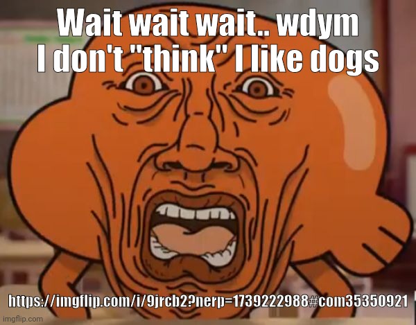 I'm confused | Wait wait wait.. wdym I don't "think" I like dogs; https://imgflip.com/i/9jrcb2?nerp=1739222988#com35350921 | image tagged in gumball darwin upset | made w/ Imgflip meme maker