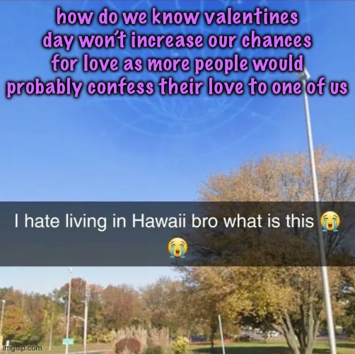 are you picking up what i’m putting down | how do we know valentines day won’t increase our chances for love as more people would probably confess their love to one of us | image tagged in i hate living in hawaii bro what is this,cinnabox announcement | made w/ Imgflip meme maker