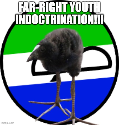 thecreativekid2007 ball (2022 Version) | FAR-RIGHT YOUTH INDOCTRINATION!!! | image tagged in thecreativekid2007 ball 2022 version | made w/ Imgflip meme maker