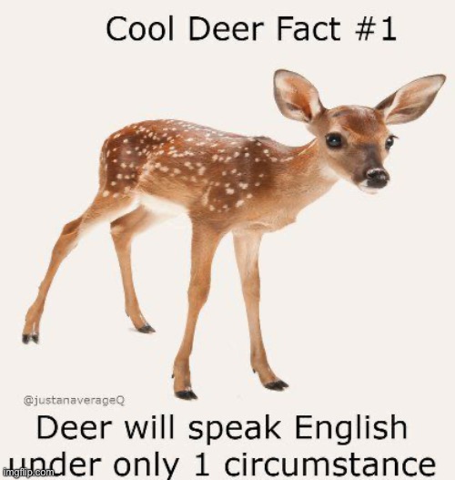 can confirm i am deer | made w/ Imgflip meme maker