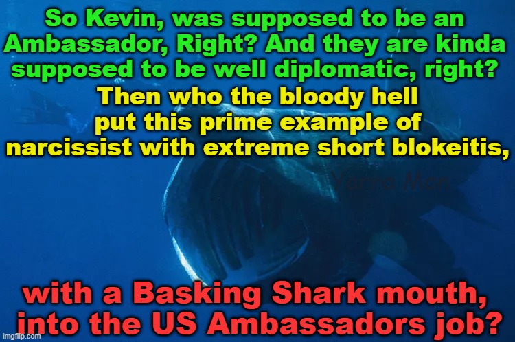 Diplomats are supposed be diplomatic, right? So what's the deal with Ruddster? | So Kevin, was supposed to be an Ambassador, Right? And they are kinda supposed to be well diplomatic, right? Then who the bloody hell put this prime example of narcissist with extreme short blokeitis, Yarra Man; with a Basking Shark mouth,
 into the US Ambassadors job? | image tagged in kevin rudd,us,ambassador,australia,progressive,labor | made w/ Imgflip meme maker